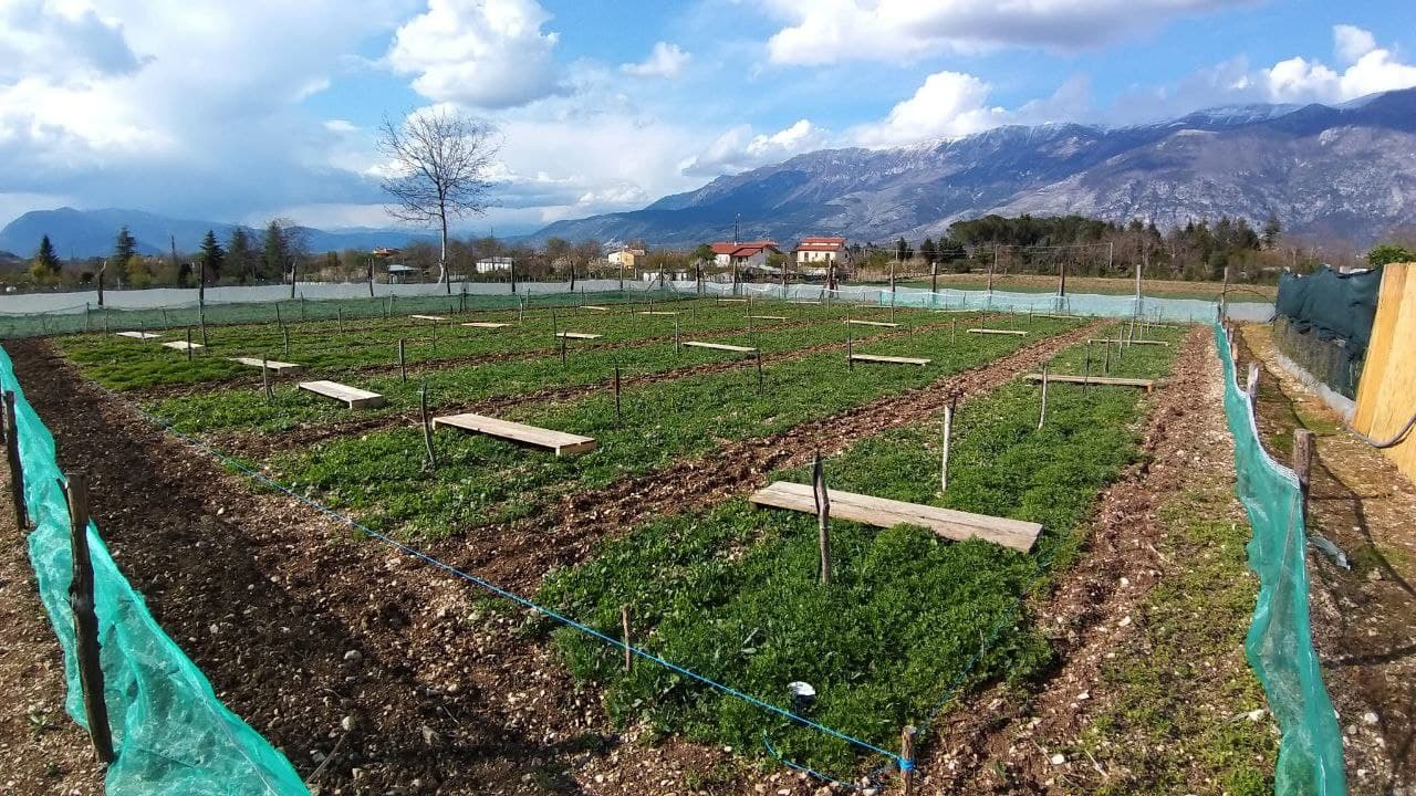 allevamento di lumache madonita